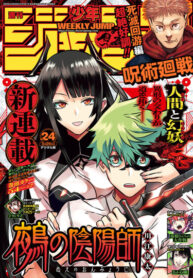 Cover 52735