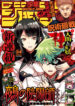 Cover 52735