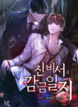 Cover 52737