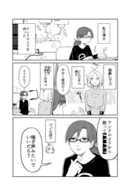 Cover 52740