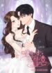 Cover 52855