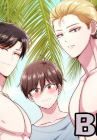Cover 52872