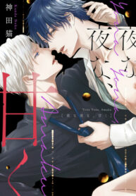 Cover 52901