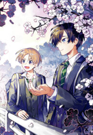 Cover 52965
