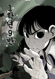 Cover 53003