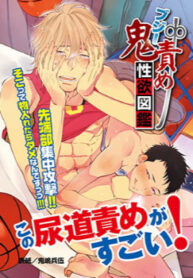 Cover 53073