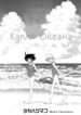 Cover 53131