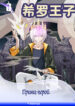 Cover 53153