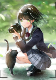 Cover 53171