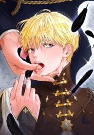 Cover 53241