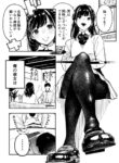 Cover 53245