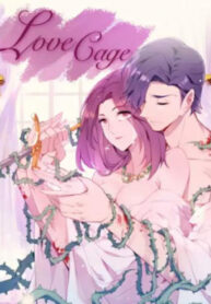 Cover 53264
