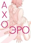 Cover 53272