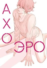Cover 53272