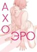Cover 53272