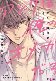 Cover 53308