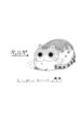 Cover 53390