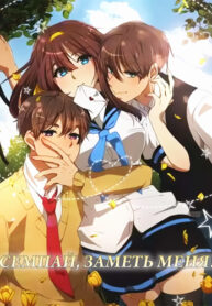 Cover 53452