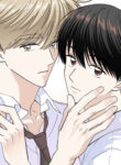 Cover 53482