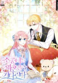 Cover 53524