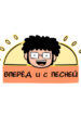 Cover 53550