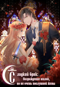 Cover 53646