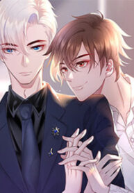 Cover 53654
