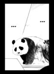 Cover 53956