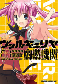 Cover 54264