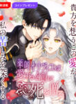Cover 54301