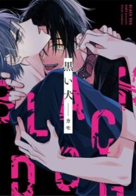 Cover 54321