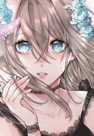 Cover 54381