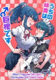Cover 54391