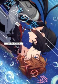 Cover 54407