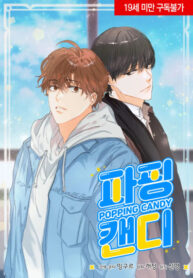 Cover 54431