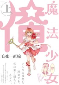 Cover 54457