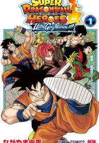 Cover 54477