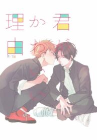 Cover 54491