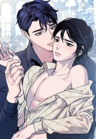 Cover 54493