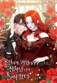 Cover 54559