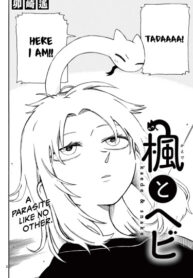 Cover 54599