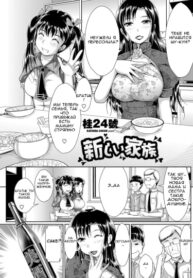 Cover 54669
