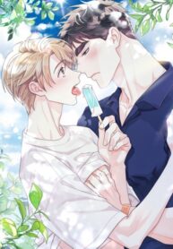 Cover 54715