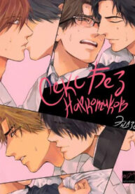 Cover 54723