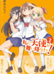 Cover 54729