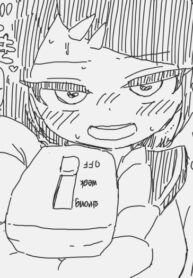 Cover 54755