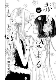 Cover 54841