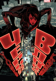 Cover 54843