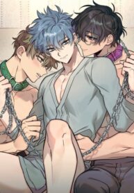 Cover 54871