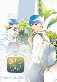 Cover 54955